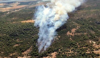 İzmir'in iki ilçesinde orman yangını… Ekipler yangın müdahale ediyor