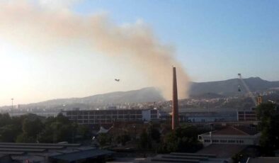 İzmir Karşıyaka'daki orman yangını kısmen kontrol altında