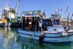 İzmir K&ouml;rfezi'nde "şebeke" olarak tabir edilen teknelerle yasa dışı avcılık