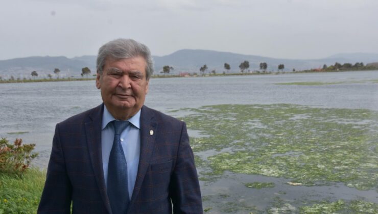 ‘İzmir Körfezi’nde son 1 yıldır deniz marulları hiç yok olmadı’