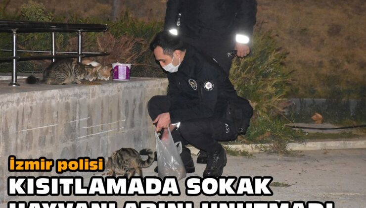 İzmir polisi, kısıtlamada sokak hayvanlarını unutmadı