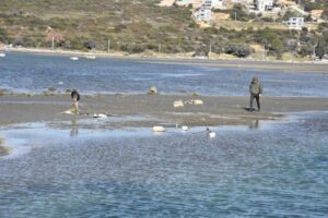 İzmir'in Seferihisar il&ccedil;esi Sığacık Mahallesi'nde deniz &ccedil;ekildi. Yer yer 25