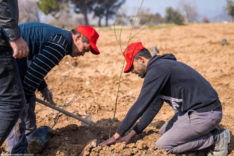 İzmir B&uuml;y&uuml;kşehir Belediyesi tarafından başlatılan İzmir Tarımı Danışma Hattı projesine