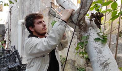 İzmir Ülkü Ocakları Yabani Ağaçlara Meyve Aşılıyor
