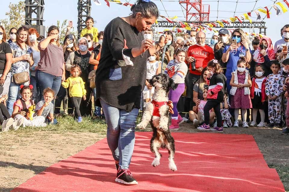 İZMİRLİ hayvanseverler Buca Belediyesi&rsquo;nin d&uuml;zenlediği FestPati Buca etkinliğinde buluştu. Birbirinden