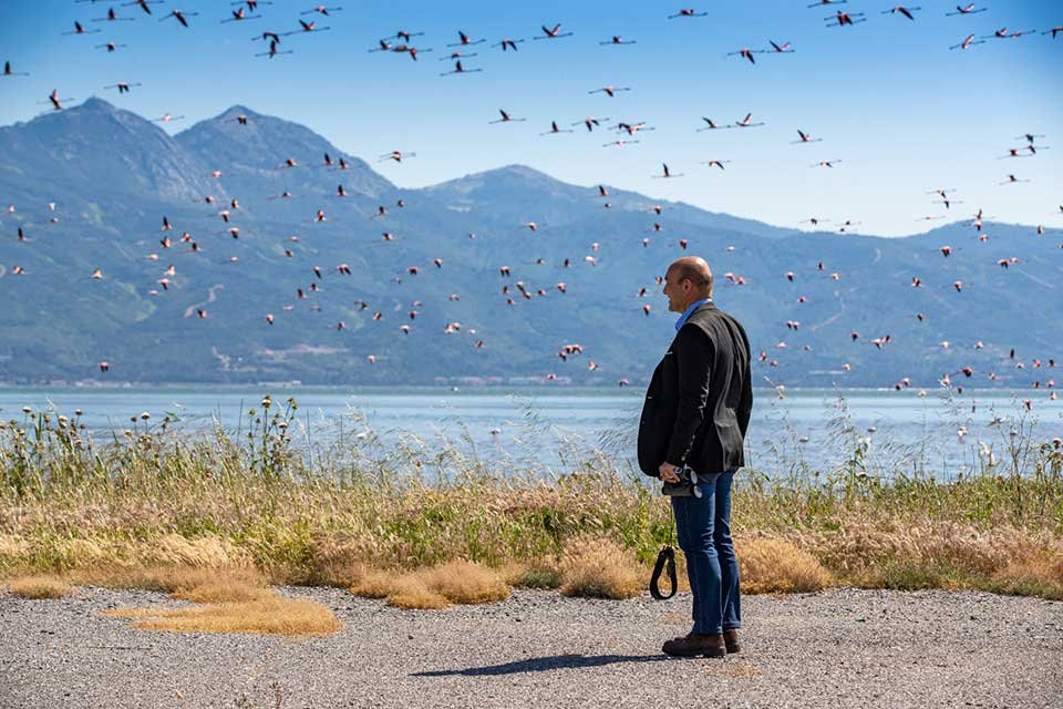 İzmir B&uuml;y&uuml;kşehir Belediyesi ve Doğa Derneği&rsquo;nin işbirliğiyle 18 Aralık saat