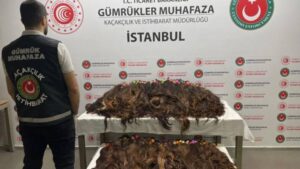 İstanbul Sabiha Gökçen Havalimanı’nda gerçekleştirilen bir operasyonda, dikkate değer miktarda