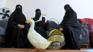 İstanbul Bah&ccedil;eşehir'deki g&ouml;lette bir kadının &ouml;rdekleri &ccedil;antasına koyarak &ccedil;aldığı iddia
