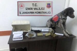 İzmir&rsquo;in 14 il&ccedil;esinde jandarma ekiplerince d&uuml;zenlenen operasyonda, 1155 k&ouml;k Hint