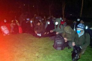 Aydın'ın Çine ilesinde jandarma ekipleri, 84 kaçak göçmen, yakaladı. Umut
