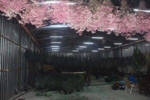 İzmir'de 42 ton ka&ccedil;ak nargile t&uuml;t&uuml;n&uuml; ele ge&ccedil;irildi İZMİR'de, satışa