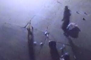 Gaziantep'te d&uuml;n gece kağıt toplayan bir kadına pitbull cinsi k&ouml;pek
