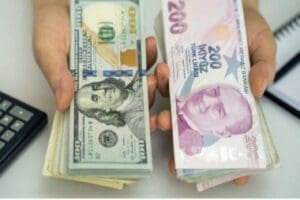 Bankacılık kaynakları kamu bankalarının m&uuml;şterilerini d&ouml;vizden TL'ye ge&ccedil;irmek i&ccedil;in &ccedil;alışanlarına