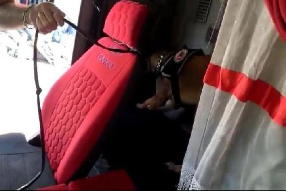 &nbsp;İzmir'in Bornova il&ccedil;esinde durdurulan bir kamyonun yatak kısmının altında, 10