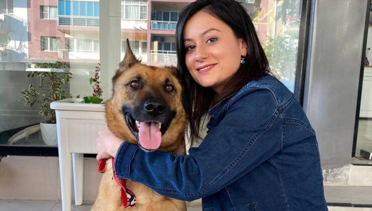 Kanser hastası köpeği iyileştirdi, şimdi ona yuva arıyor
