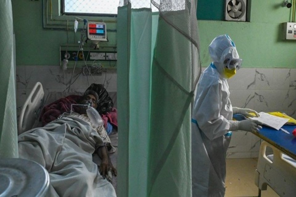 İlk olarak Hindistan'da ortaya &ccedil;ıkan kara mantar hastalığı Mısır'da da