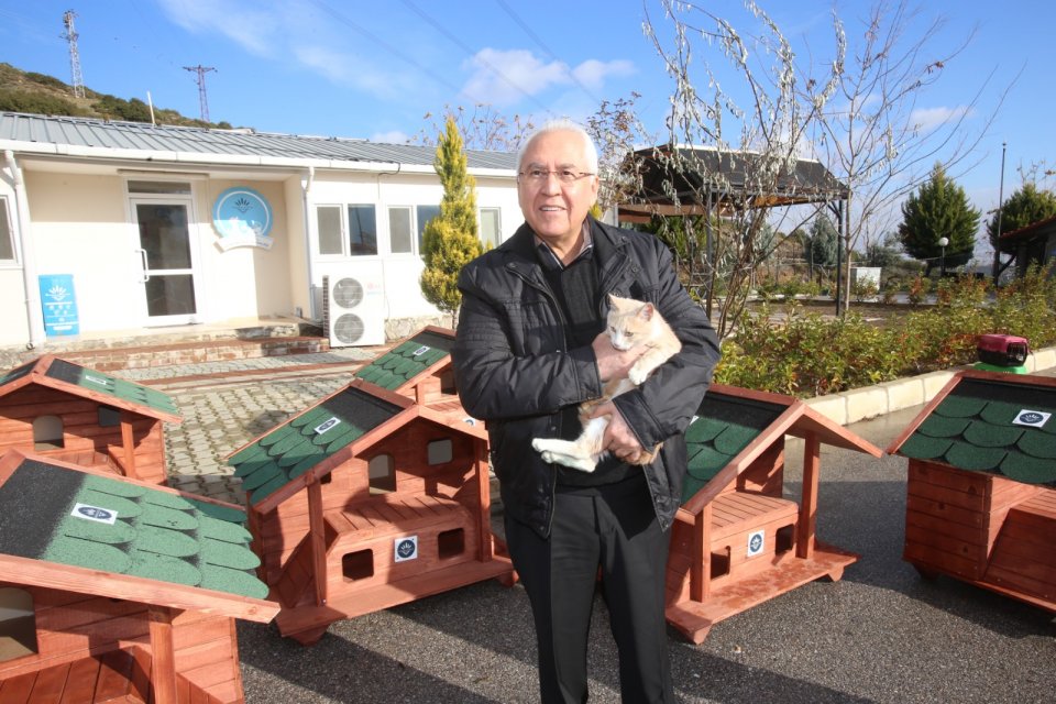 Karabağlar Belediyesi il&ccedil;e sınırları i&ccedil;erisinde bulunan sahipsiz kedi ve k&ouml;pekleri
