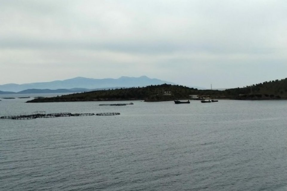 Karaburun ilçesindeki Eğriliman mevkiinde bulunan iki farklı şirkete ait balık