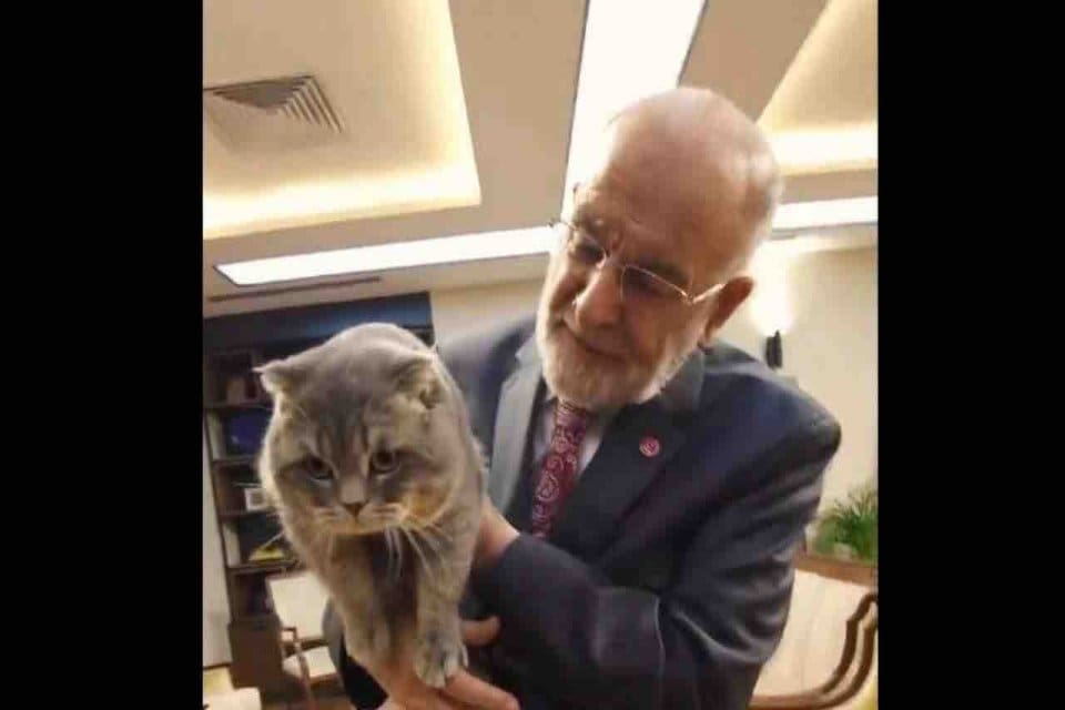 Saadet Partisi lideri Temel Karamollaoğlu, partisinin kedisi duman ile video