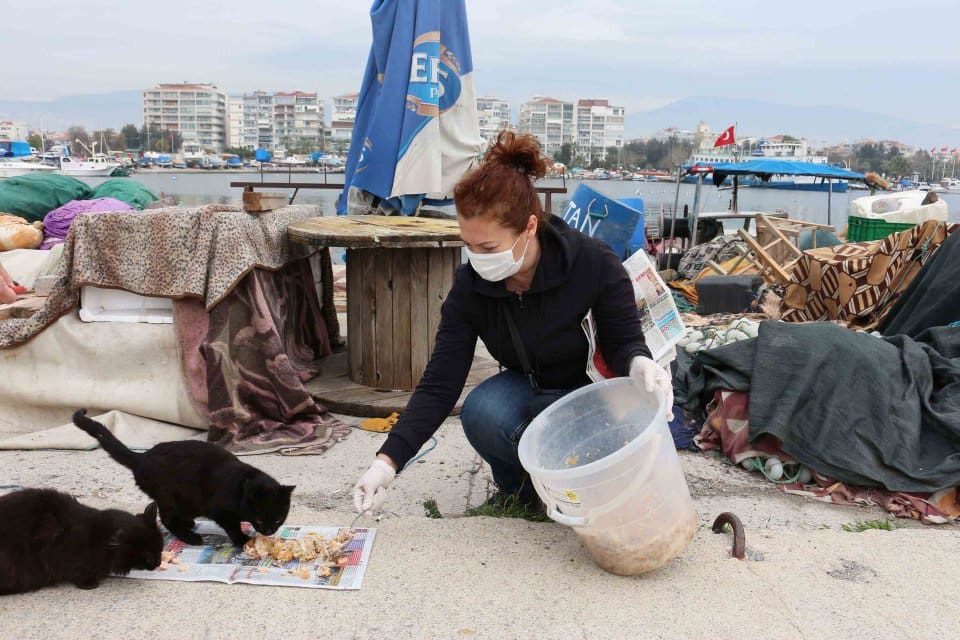 Karşıyaka Belediyesi, İl&ccedil;e Tarım ve Orman M&uuml;d&uuml;rl&uuml;ğ&uuml; ve hayvansever vatandaşlar,