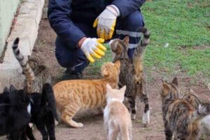 Karşıyaka Belediyesi Veteriner İşleri M&uuml;d&uuml;rl&uuml;ğ&uuml;, sokak hayvanlarının kontrols&uuml;z &uuml;remesinin &ouml;n&uuml;ne