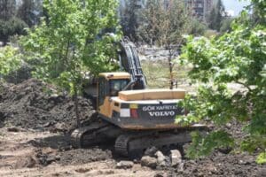 Karşıyaka il&ccedil;esinde, park yapılacak arazideki bazı &ccedil;ınar ağa&ccedil;larının s&ouml;k&uuml;lmesi tepki