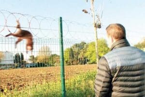Karşıyaka Belediye Meclisi, Hayvan Hakları Komisyonu&rsquo;nun &ouml;nergesi &uuml;zerine il&ccedil;ede jiletli