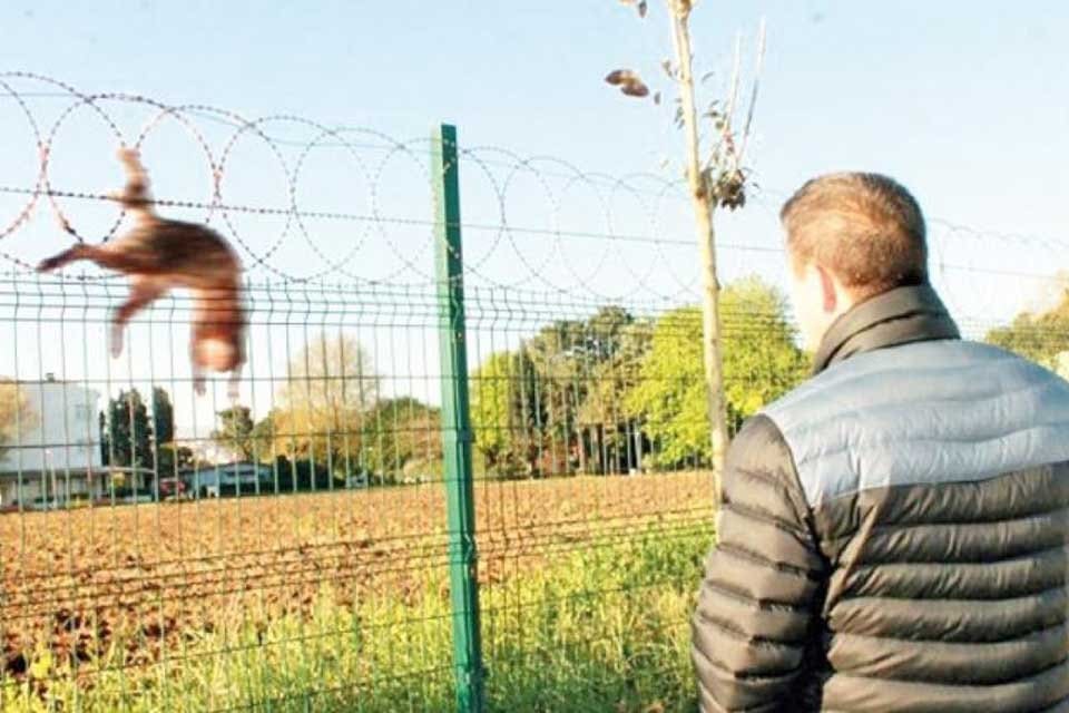 Karşıyaka Belediye Meclisi, Hayvan Hakları Komisyonu&rsquo;nun &ouml;nergesi &uuml;zerine il&ccedil;ede jiletli