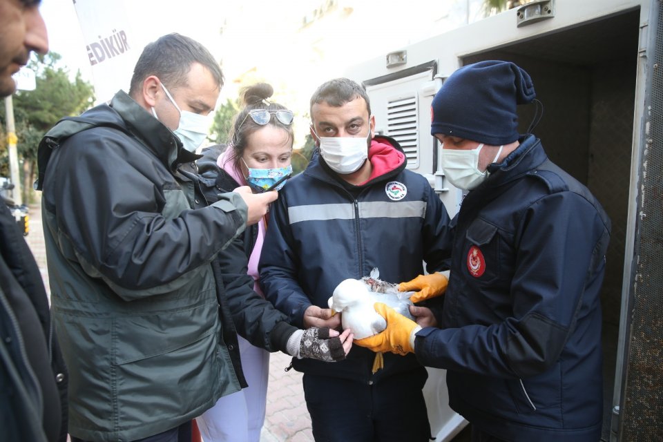 Karşıya Belediyesi Veteriner İşleri Müdürlüğü'ne ve İzmir İtfaiyesi'ne bağlı ekipler,