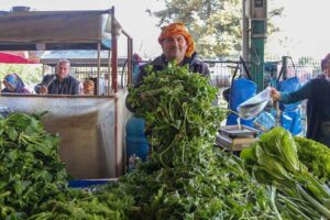 Karşıyaka Belediyesi, Anadolu&rsquo;nun ve &ouml;zellikle Ege&rsquo;nin kadim ot k&uuml;lt&uuml;r&uuml;ne dair