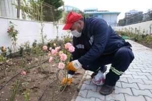 Yalı Mahallesi 6500/3 sokakta bulunan yaklaşık 490 metrekarelik boş alan,