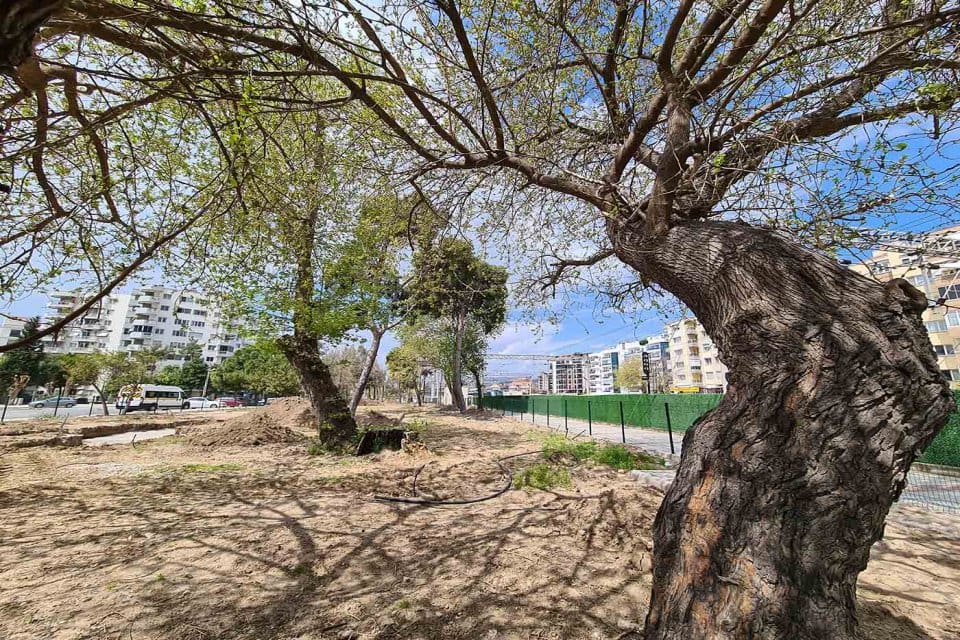 Karşıyaka Belediyesi, &ccedil;ocuk ve gen&ccedil;leri hem sporla hem de eğlenceyle