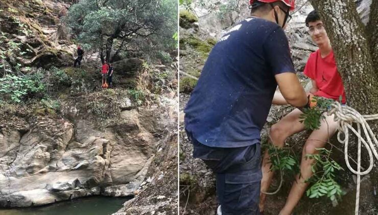 Kayalıklardan düşerken tutunduğu ağaç hayatını kurtardı