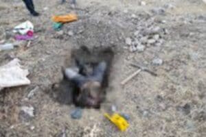 Elazığ&rsquo;da define aramak i&ccedil;in evden &ccedil;ıkan ve bir daha haber