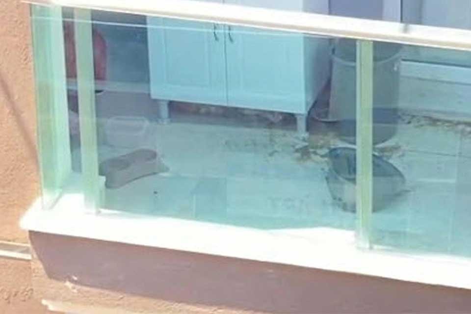 İzmir’in Çiğli ilçesinde, bir kedinin sahipleri tarafından Kurban Bayramı'nda, 3