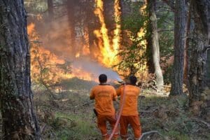 ​Toplu İş S&ouml;zleşmesi (TİS) s&uuml;reci nedeniyle İzmir'e gelen ve konuyla