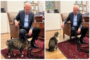 CHP lideri Kılı&ccedil;daroğlu, Instagram hesabından CHP'nin kedisi 'Şero' ile &ccedil;ekilmiş
