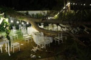 Antalya'da bir restoranın a&ccedil;ık alanında ger&ccedil;ekleşen d&uuml;ğ&uuml;n sırasında, alandaki ağa&ccedil;lardan