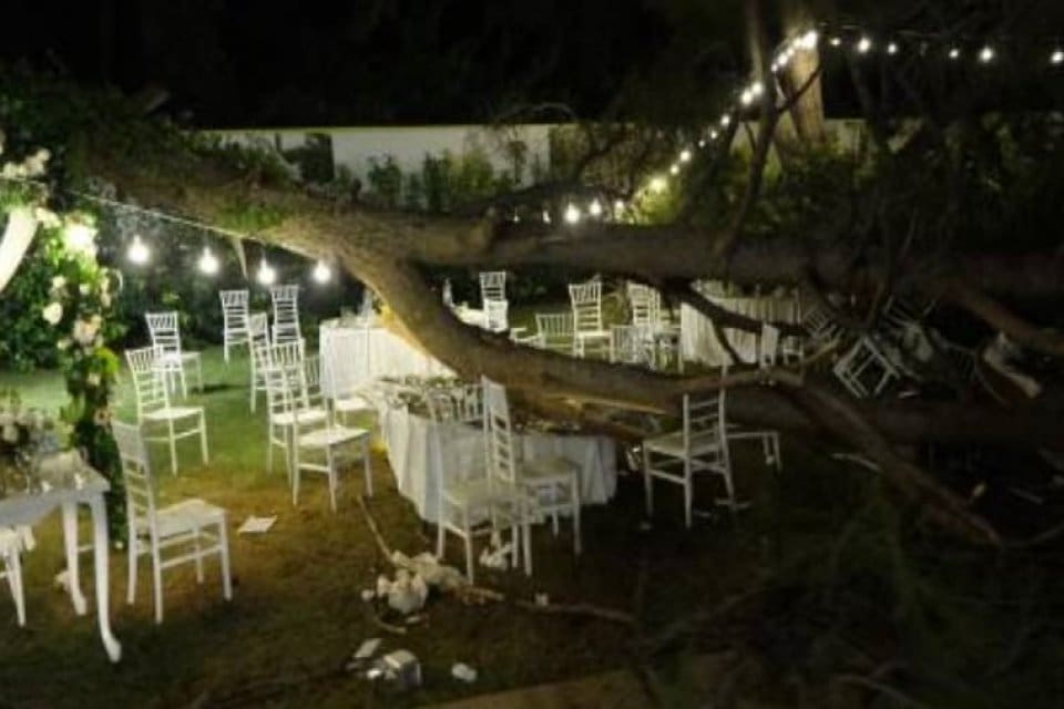 Antalya'da bir restoranın a&ccedil;ık alanında ger&ccedil;ekleşen d&uuml;ğ&uuml;n sırasında, alandaki ağa&ccedil;lardan