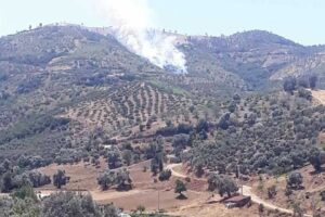 İzmir'in Kiraz ilçesinde, ormanlık alanda yangın çıktı. Bölgeye sevk edilen