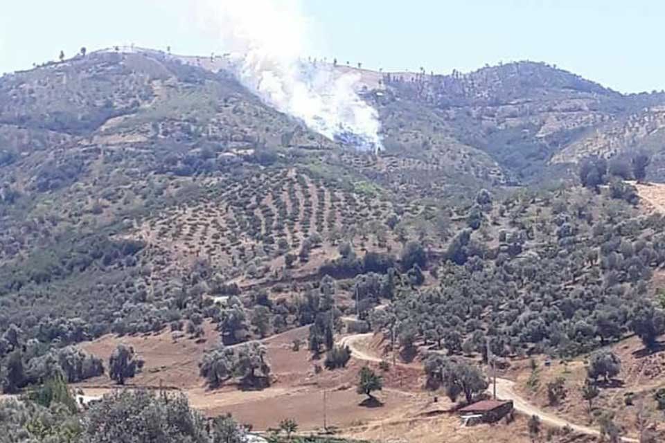 İzmir'in Kiraz ilçesinde, ormanlık alanda yangın çıktı. Bölgeye sevk edilen