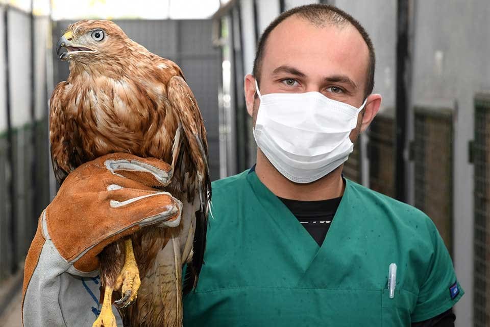 Karabağlar Belediyesi Veteriner İşleri M&uuml;d&uuml;rl&uuml;ğ&uuml; ekipleri, bir parkta bulunan ve