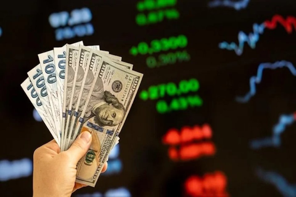 Kurumların kur korumalı mevduat (KKM) kapsamında faiz ve k&acirc;r payları