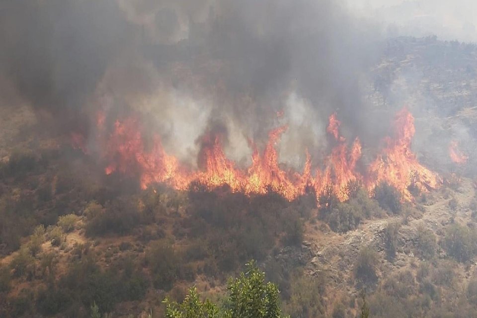 Kuzey Kıbrıs T&uuml;rk Cumhuriyeti'nde (KKTC) 21 Haziran'dan bu yana orman
