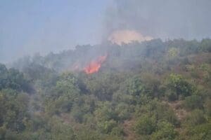 ​Kocaeli'nin Karam&uuml;rsel il&ccedil;esinde ormanda yangın &ccedil;ıktı. Yangına helikopter ile m&uuml;dahale