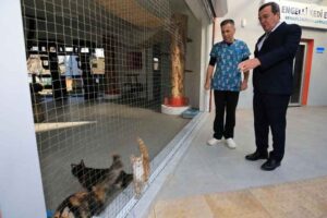 Konak Belediyesi Hayvan Sağlığı Merkezi bir yılda yaklaşık 8 bin