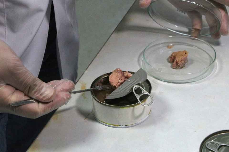 Çukurova Üniversitesi'nde 7 üreticiye ait 33 farklı ton balığı markası
