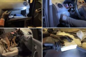 İZMİR'de, polis düzenlediği operasyonda 2 kilo 737 gram kokain ele