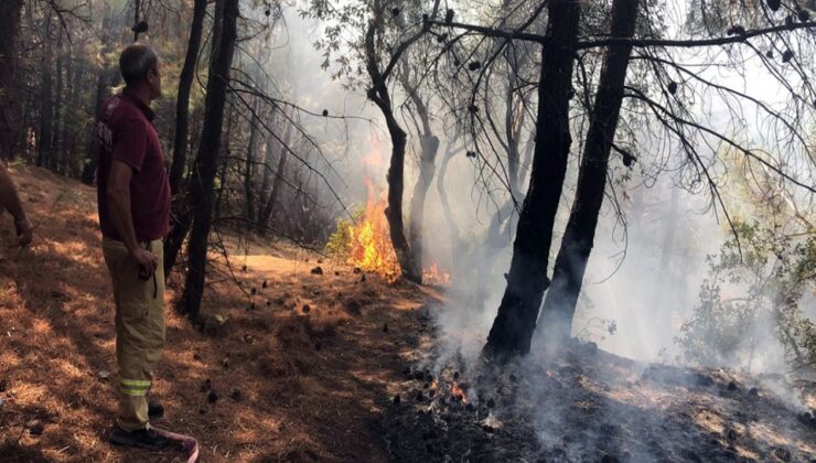 Kontrol altına alındı: Manisa'da orman yangını