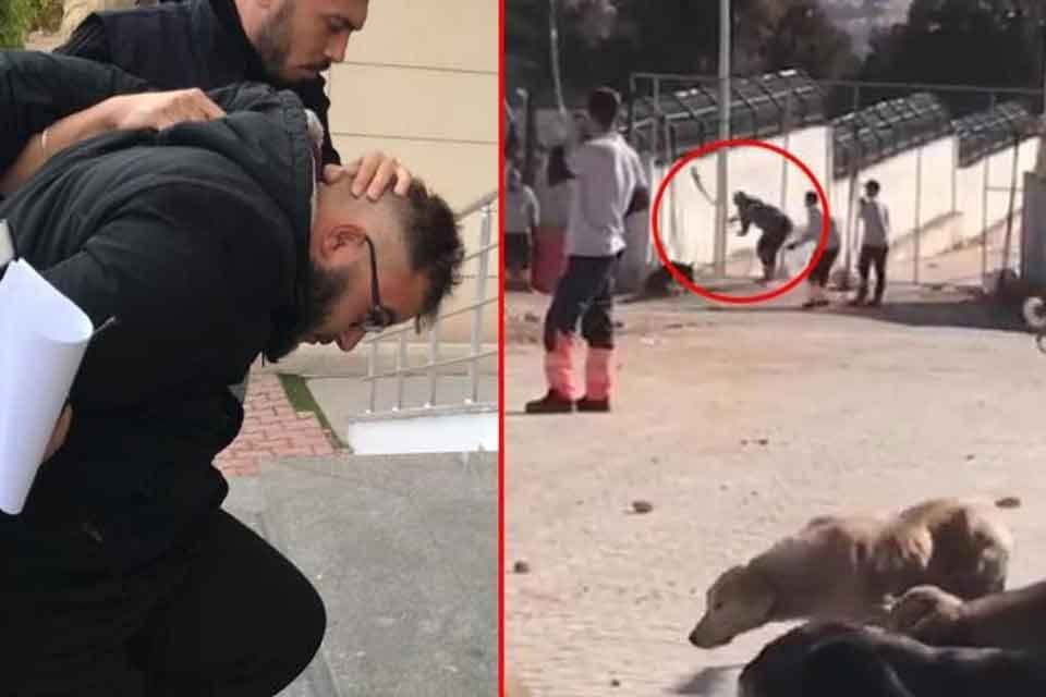&nbsp; T&uuml;rkiye, d&uuml;n&nbsp;&nbsp;Konya'dan gelen acı g&ouml;r&uuml;nt&uuml;lerle sarsıldı.&nbsp; B&uuml;y&uuml;kşehir&nbsp;Belediyesi&nbsp;Sahipsiz Hayvan Bakımevi